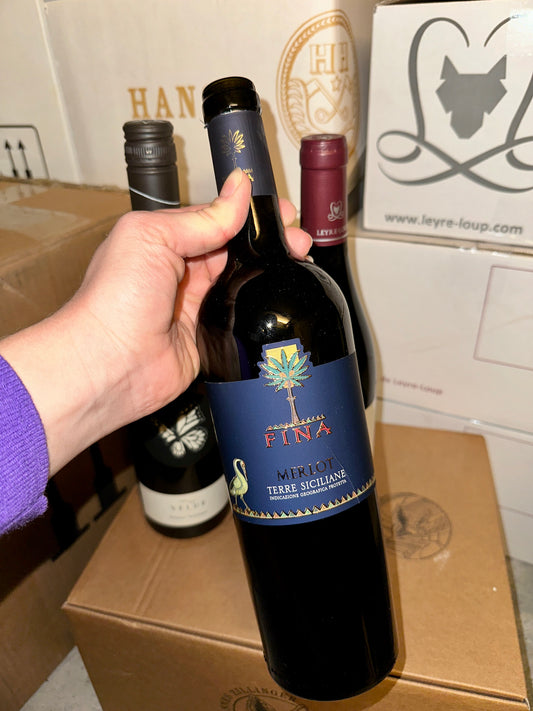 Cantine Fina, Merlot